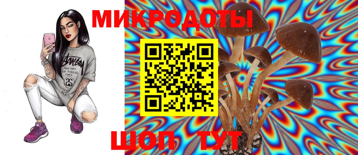 Псилоцибиновые грибы прущие грибы  Вход с VPN  Псилоцибиновые грибы Psilocybe  Павлово 