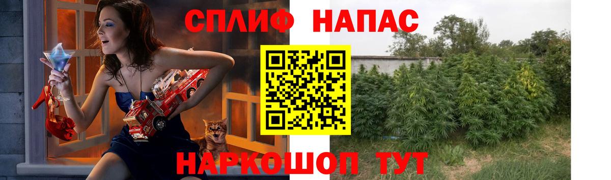 Бошки марихуана семена  Вход с VPN  Каннабис THC 21%  Павлово 